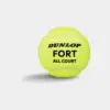DUNLOP FORT ALL COURT (4 st.) - Afbeelding 2