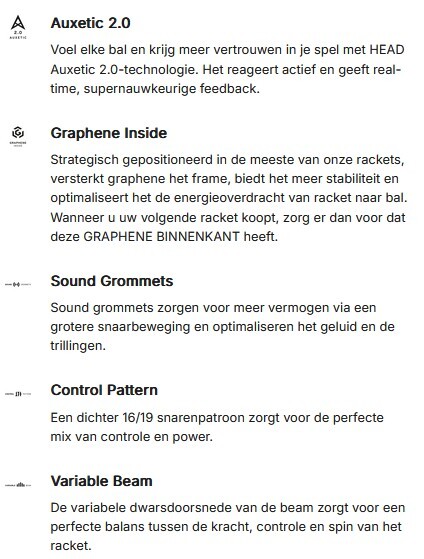 HEAD RADICAL MP PTC 2025 (300 g) - ZWART/BLAUW - Afbeelding 3